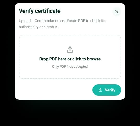 Verify certificate dialog